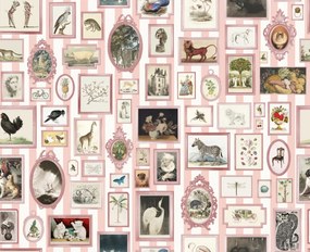 Fototapet, Vintage Frames, Pink, Rebel Walls