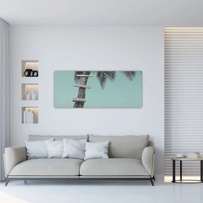Tablou - Palma în Caraibe (120x50 cm)