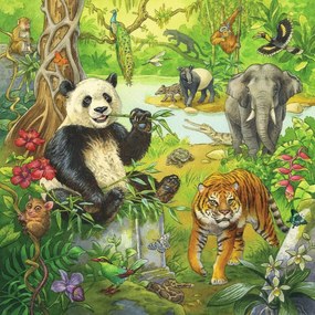 PUZZLE AVENTURI IN JUNGLA, 3X49 PIESE - RAVENSBURGER (05180)