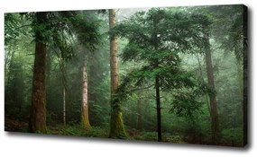 Tablouri tipărite pe pânză Ceață în pădure