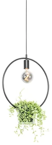 Lampă modernă suspendată neagră cu sticlă rotundă - Roslini