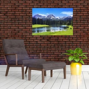 Tablou - vâfurile montane înzăpezite (90x60 cm)