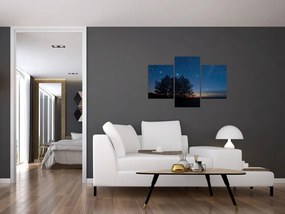 Tablou cu copaci noapte (90x60 cm)