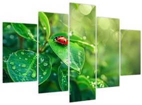 Tablou - Buburuza (150x105 cm)