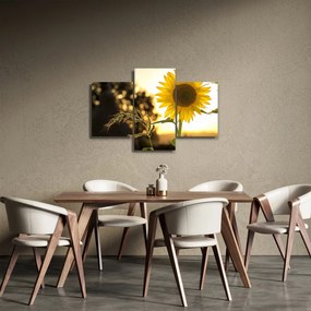 Tablou cu floarea soarelui (90x60 cm)