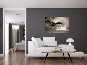 Tablou - Turmă de gnu (90x60 cm)