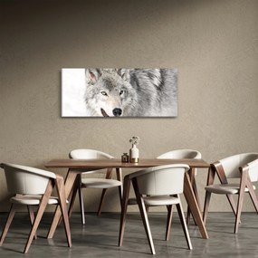 Tablou - Lupul în natură (120x50 cm)