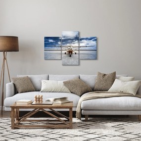 Tablou cu aeroplan cu motor (90x60 cm)