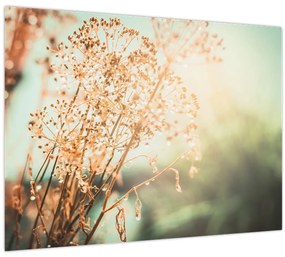 Tablou - Plante de luncă (70x50 cm)
