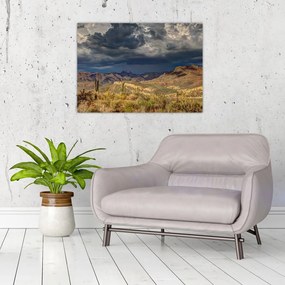 Tablou pe sticlă - cactușii în natură (70x50 cm)