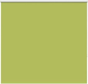 vidaXL Jaluzea cu role opace 165x130 cm Lățime material 161,6 cm