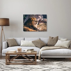 Tablou pe sticlă cu leul dormind (70x50 cm)