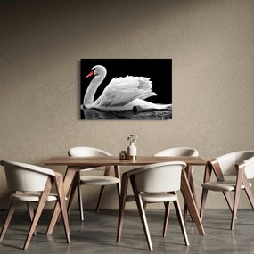 Tablou cu lebăda alb neagră (90x60 cm)