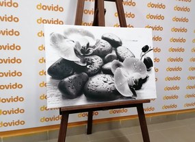 Tablou interacțiunea frumoasă a pietrelor și orhideelor în design alb-negru