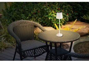 Corp de iluminat LED solar Globo 36637W SOLAR LED/0,6W/3V 3000K IP44 alb