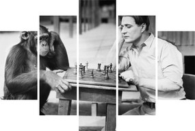 Tablou - Circ 2 (150x105 cm)