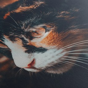 Tablou - Privirea pisicii (cu ceas) (90x30 cm)