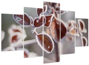 Tablou - Detaliu frunze (150x105 cm)