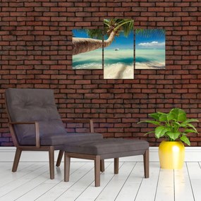 Tablou - Mare curată cu palmier (90x60 cm)