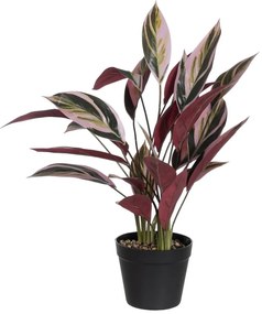 Plantă artificială (înălțime 55 cm) Bird of Paradise – Ixia