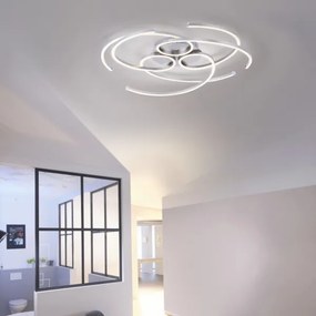 Paul Neuhaus 8165-55 - LED Plafonieră dimmabilă DANILO 3xLED/12W/230V