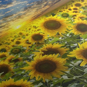 Tablou - Floarea-soarelui la apus de soare (cu ceas) (90x30 cm)
