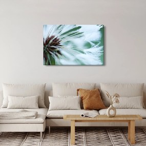 Tablou - Detaliu floare (90x60 cm)