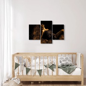Tablou - Femeia din aur (90x60 cm)