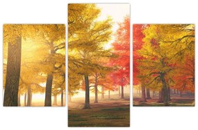 Tablou cu copaci toamna (90x60 cm)