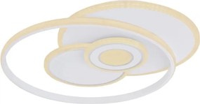 Globo 48442-50SH - Plafonieră LED dimabilă RODERICK 50W/230V 46x54,5 cm+telecomandă