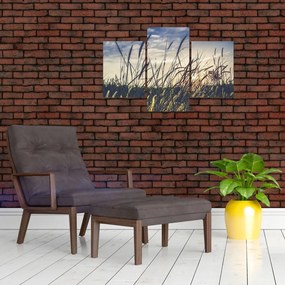 Tablou cu flori de câmp (90x60 cm)