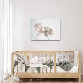 Tablou pe sticlă cu orhidee albă (70x50 cm)