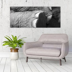 Tablou - Picior de elefant (120x50 cm)