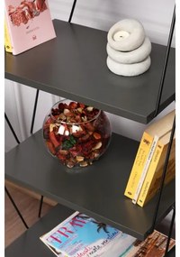 Bibliotecă BALABAN 165x48 cm antracit/neagră
