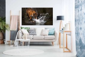Tablou canvas tigru colorat - 100x60cm