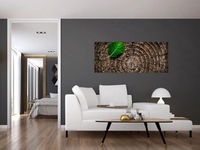 Tablou cu frunză pe trunchi de copac (120x50 cm)