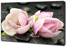 Print pe pânză Magnolia zen piatra