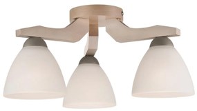 Lustr ADRIANO 3xE27/60W/230V, přisazený model