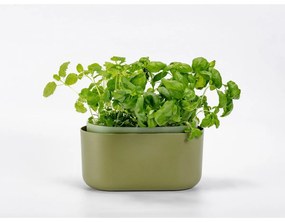 Jardinieră cu auto-irigare Plastia, verde,31 x 16 cm