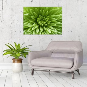 Tablou pe sticlă - Imagine macro a unei plante (70x50 cm)