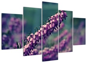 Tablou cu floare violetă (150x105 cm)