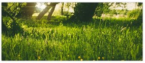 Tablou cu natura - lunca (120x50 cm)