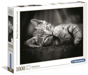 Puzzle Kitty