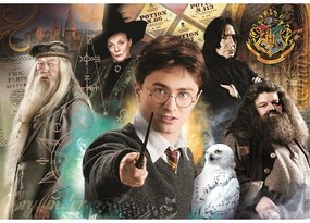 Harry Potter League Puzzle Clementoni de 500 de piese