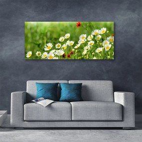 Tablou pe panza canvas Daisy Natura Galben Alb