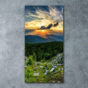 Tablou sticlă Panorama munților