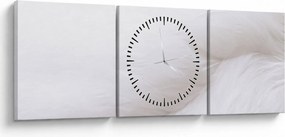 Tablou - Detalii pene (cu ceas) (90x30 cm)