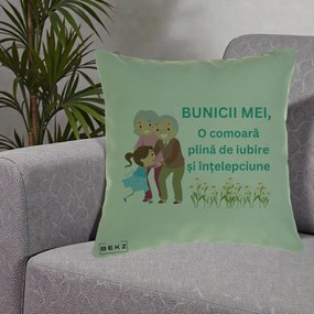 Cadou pentru Bunici - Perna Personalizata Bunicii Mei Comoara Iubire Intelepciune Nepoata, 40x40 cm, Verde, Husa Detasabila, Perna Inclusa, BEKZ®