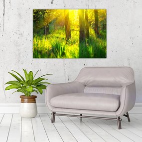 Tablou - Trezirea de primăvară a pădurii (90x60 cm)
