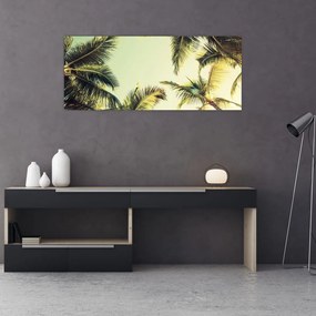 Tablou - Palmieri de cocos (120x50 cm)